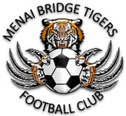Menai Bridge Tigers