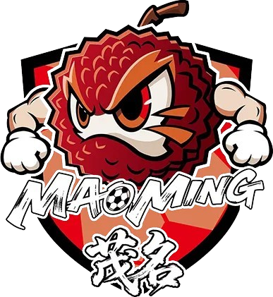 Maoming Team
