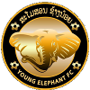 Young Elephants