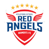 Incheon Hyundai Steel Red Angels Feminino